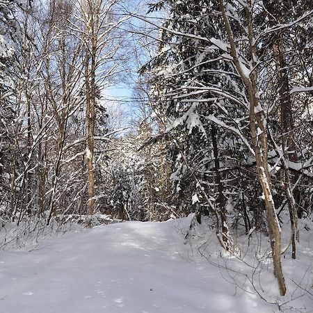 La Taniere De L'Ours Hotel Saint-Donat-de-Montcalm Buitenkant foto