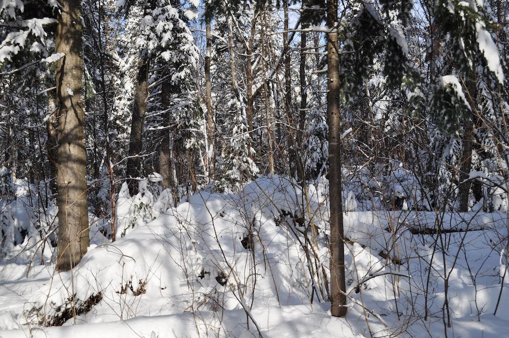 La Taniere De L'Ours Hotel Saint-Donat-de-Montcalm Buitenkant foto