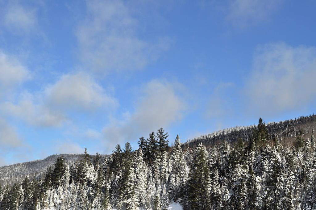 La Taniere De L'Ours Hotel Saint-Donat-de-Montcalm Buitenkant foto