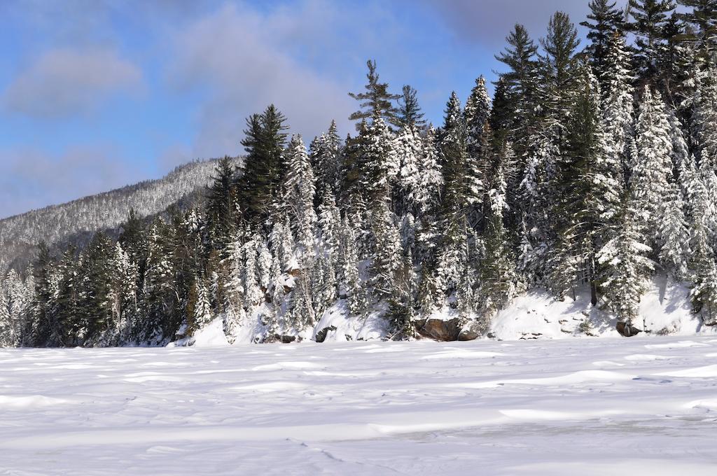 La Taniere De L'Ours Hotel Saint-Donat-de-Montcalm Buitenkant foto
